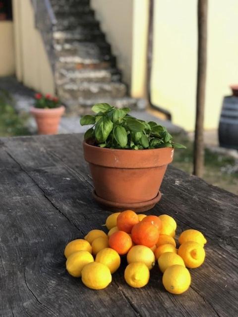 Agriturismo La Posta Reale กาสติลิออน ฟิบอคคี ภายนอก รูปภาพ