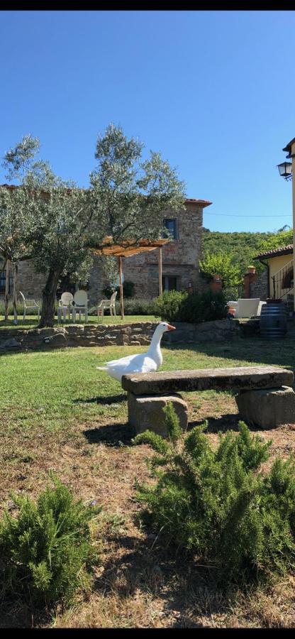 Agriturismo La Posta Reale กาสติลิออน ฟิบอคคี ภายนอก รูปภาพ