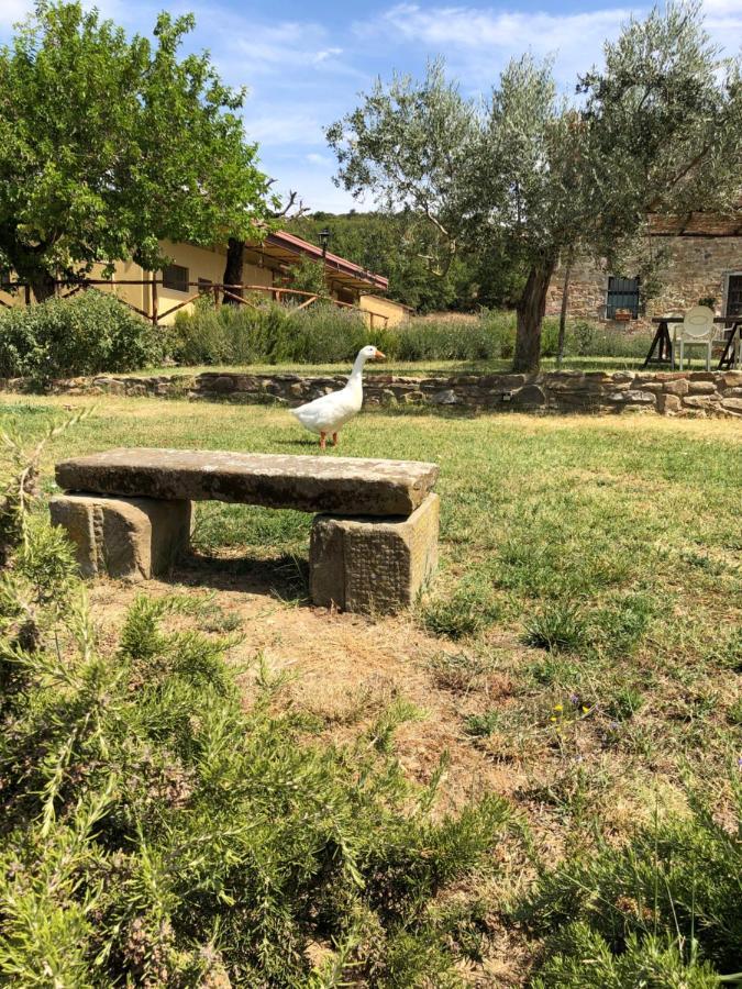 Agriturismo La Posta Reale กาสติลิออน ฟิบอคคี ภายนอก รูปภาพ