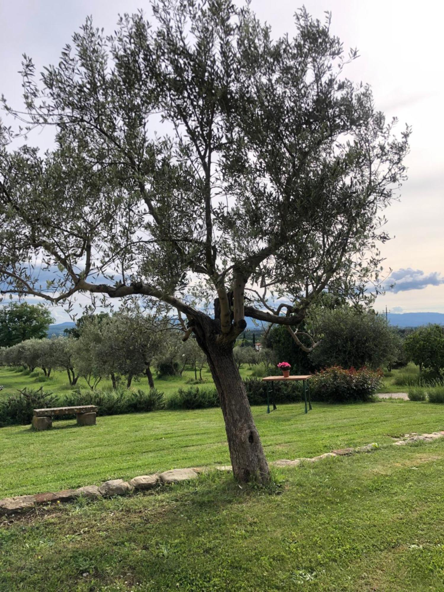 Agriturismo La Posta Reale กาสติลิออน ฟิบอคคี ภายนอก รูปภาพ