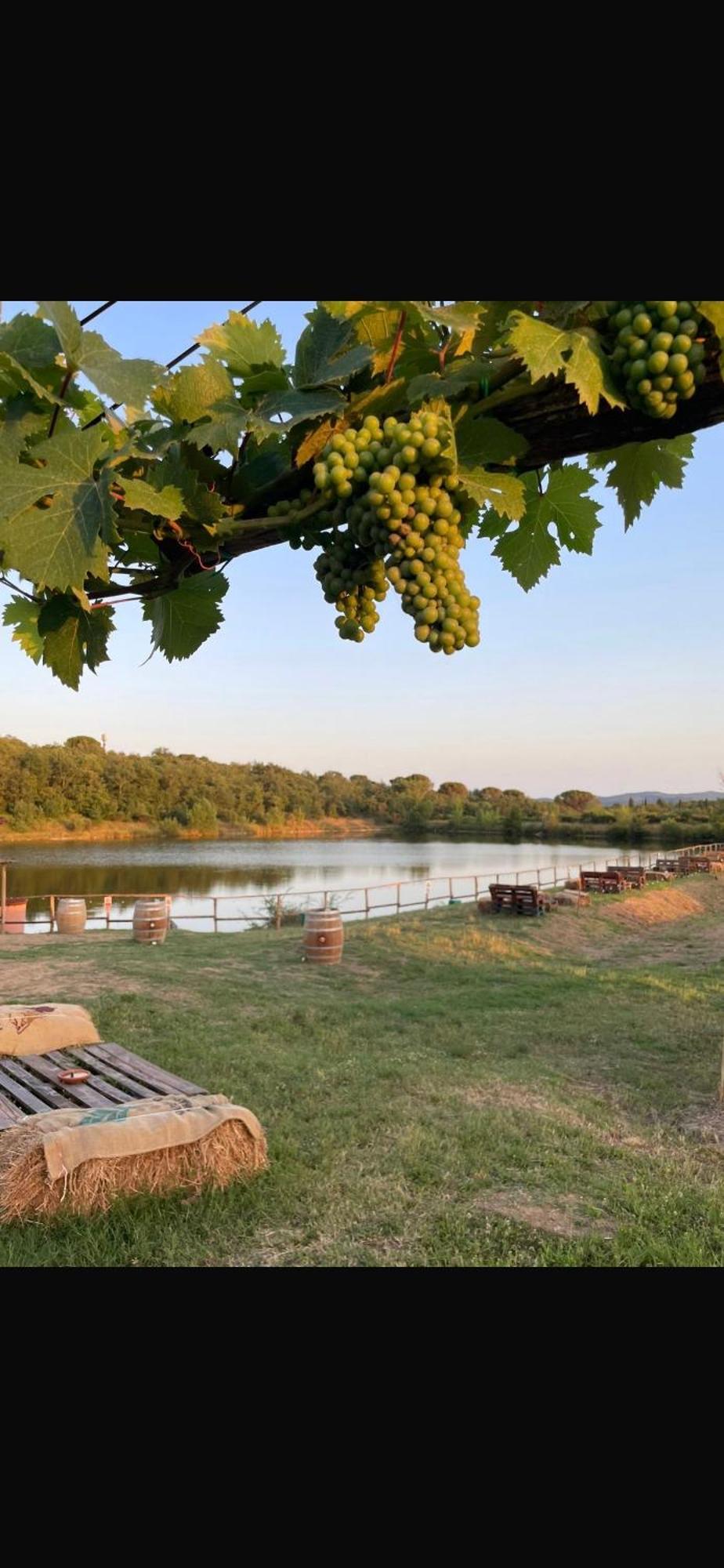 Agriturismo La Posta Reale กาสติลิออน ฟิบอคคี ภายนอก รูปภาพ